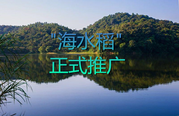 肯德制冷的新聞資訊.jpg