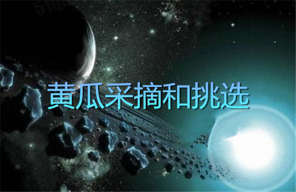 信息新聞.jpg