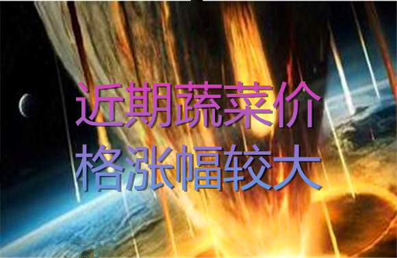 近期蔬菜價(jià)格漲幅較大.jpg
