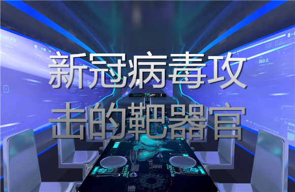 新冠病毒攻擊的靶器官.jpg