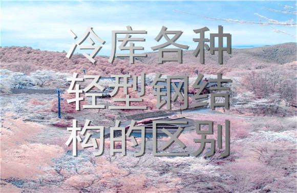 冷庫各種輕型鋼結(jié)構(gòu)的區(qū)別.jpg