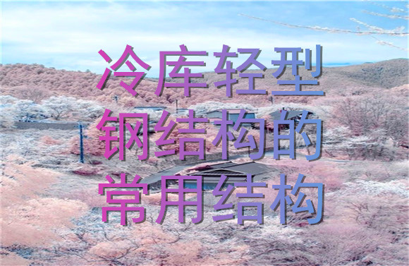 冷庫輕型鋼結(jié)構(gòu)的常用結(jié)構(gòu).jpg