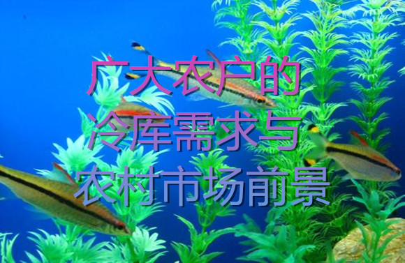 廣大農(nóng)戶的冷庫需求與市場前景.jpg