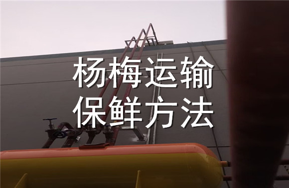 楊梅運(yùn)輸保鮮方法.jpg
