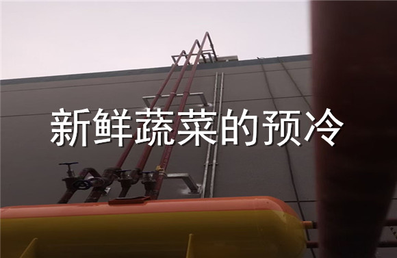 新鮮蔬菜的預冷.jpg