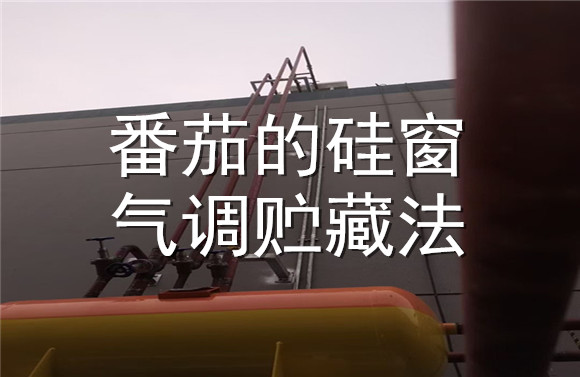 番茄的硅窗氣調貯藏法.jpg