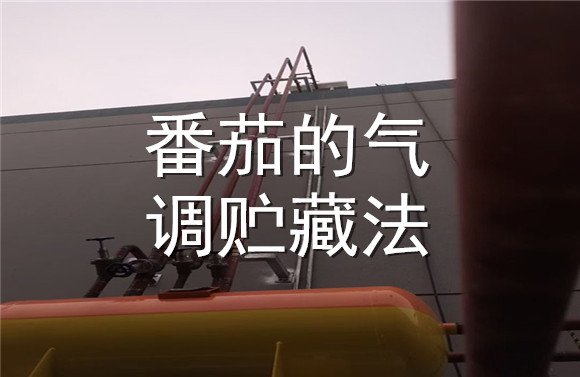 番茄的氣調(diào)貯藏法.jpg