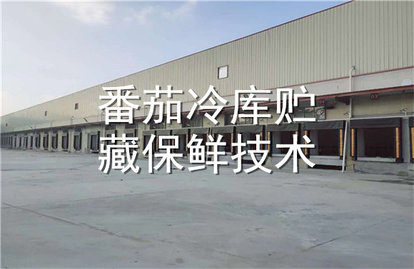 番茄冷庫貯藏保鮮技術(shù).jpg