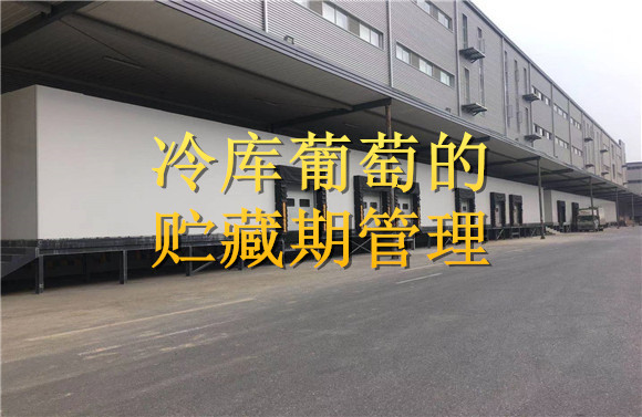 冷庫葡萄的貯藏期管理 .jpg