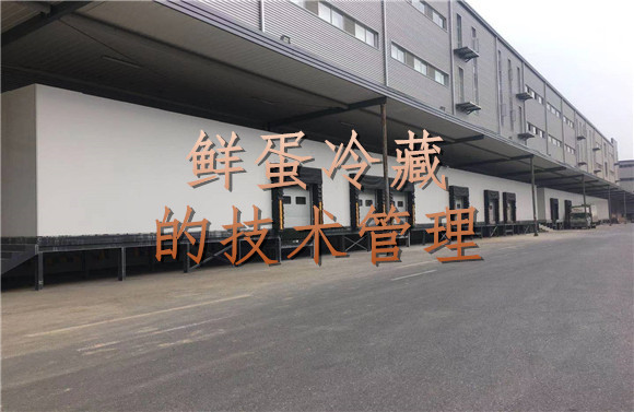 鮮蛋冷藏的技術(shù)管理.jpg