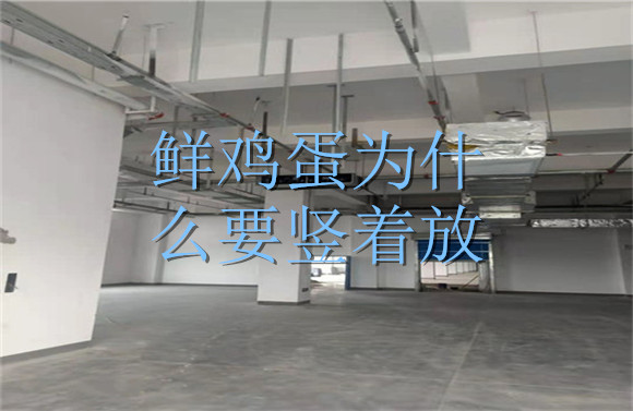 鮮雞蛋為什么要豎著放.jpg