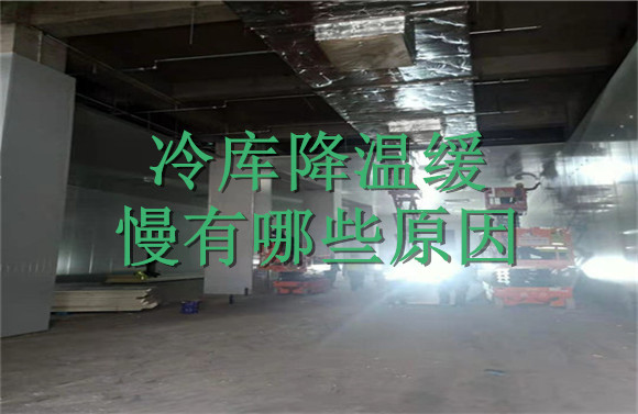冷庫降溫緩慢有哪些原因.jpg