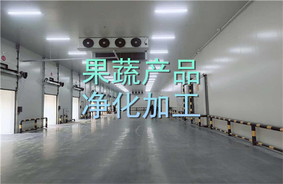 果蔬產(chǎn)品凈化加工.jpg