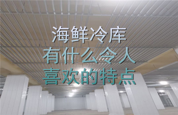 海鮮冷庫有什么令人喜歡的特點.jpg
