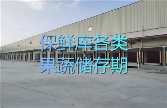 保鮮庫(kù)各類果蔬儲(chǔ)存期.jpg