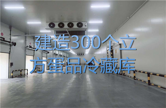 建造300個立方蛋品冷藏庫.jpg