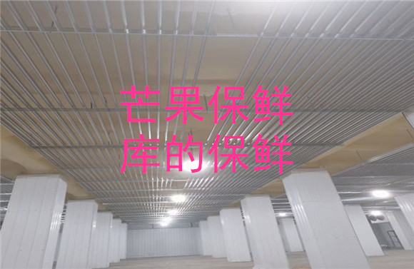 芒果保鮮庫的保鮮.jpg