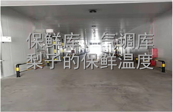 保鮮庫、氣調(diào)庫梨子的保鮮溫度.jpg