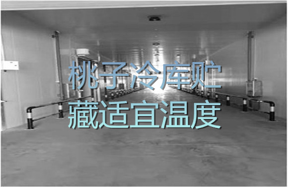 桃子冷庫(kù)貯藏適宜溫度.jpg