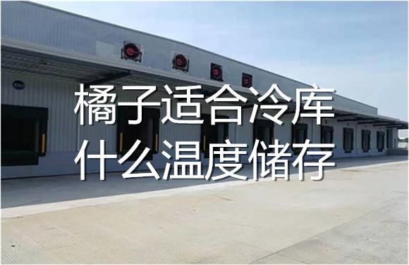 橘子適合冷庫什么溫度儲存 .jpg