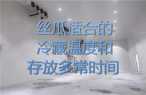 絲瓜適合的冷藏溫度和存放多常時間.jpg
