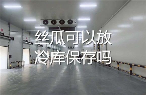 絲瓜可以放冷庫(kù)保存嗎.jpg