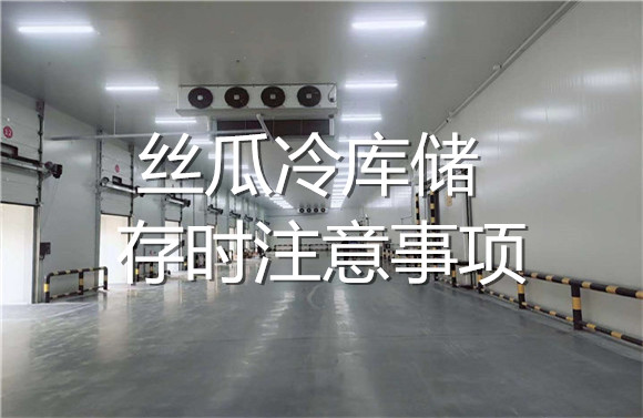 絲瓜冷庫儲存時注意事項.jpg