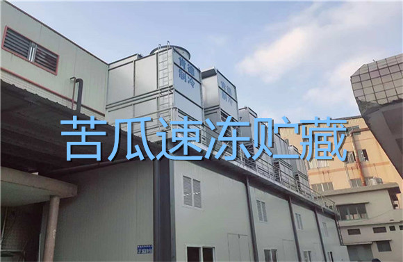 苦瓜速凍貯藏.jpg