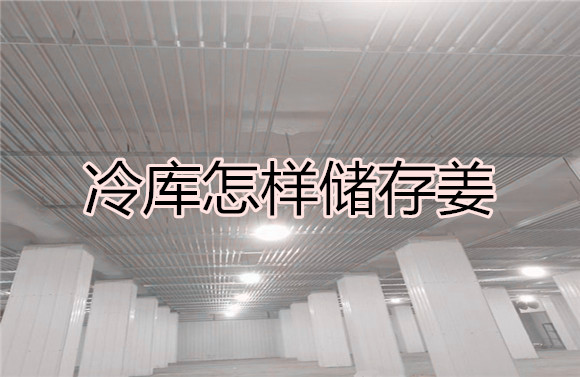 冷庫怎樣儲(chǔ)存姜.jpg