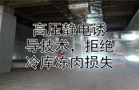 高壓靜電誘導(dǎo)技術(shù)，拒絕冷庫(kù)凍肉損失.jpg