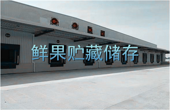 鮮果貯藏儲(chǔ)存.jpg