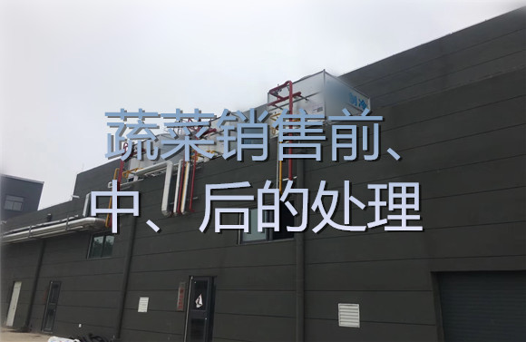 蔬菜銷售前、中、后的處理.jpg